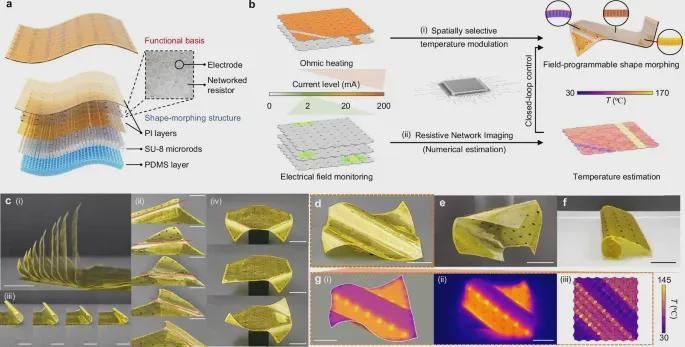 电阻网络+折纸力学，这款可编程折叠组件让机器人拥有了“形态自由”(图3)